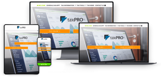 Site Dart tax pro websites