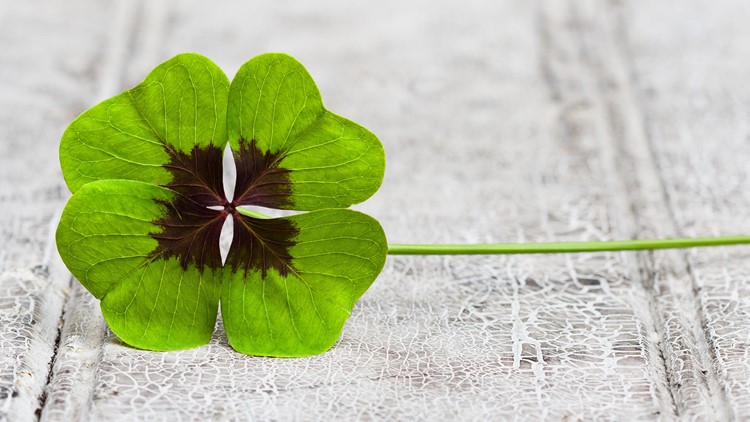 Melinda Curles: Making Your Own Luck