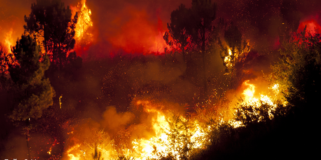 California Declared Federal Disaster, Receiving Tax Relief