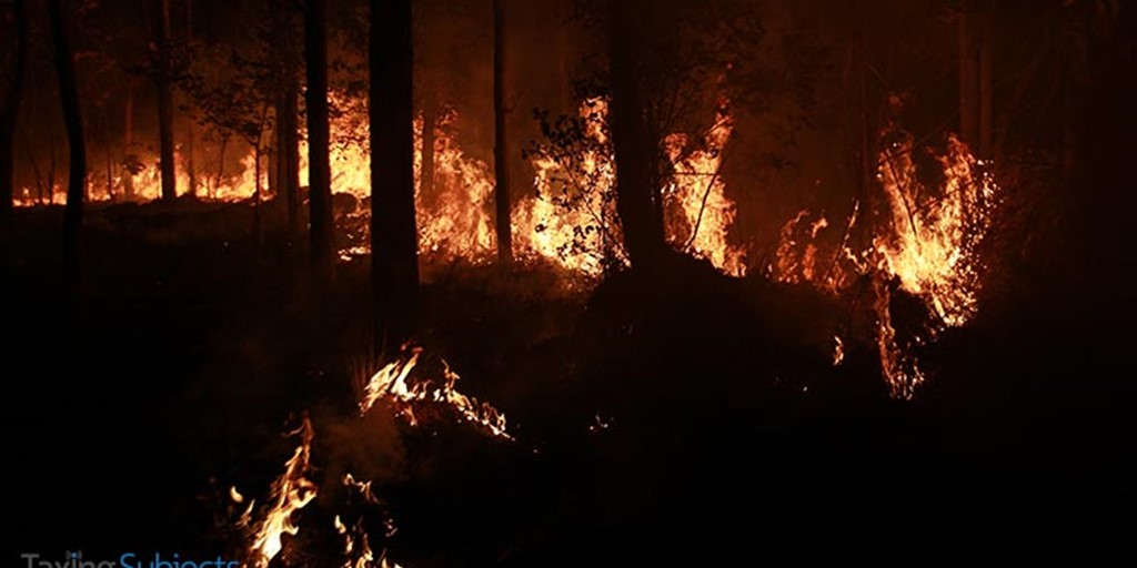 New Extension Deadline for Oregon Wildfire Victims