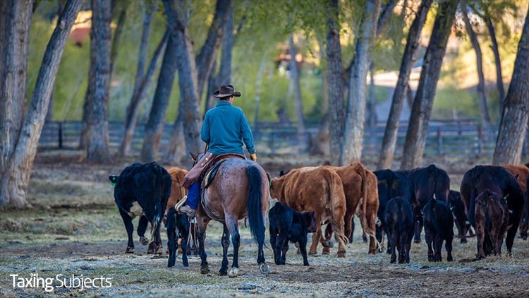 Drought-Stricken Farmers, Ranchers Get Tax Relief from IRS