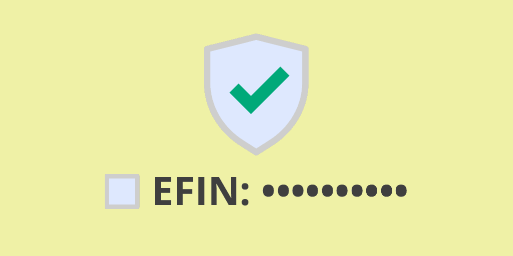 Tips for Protecting Your EFIN