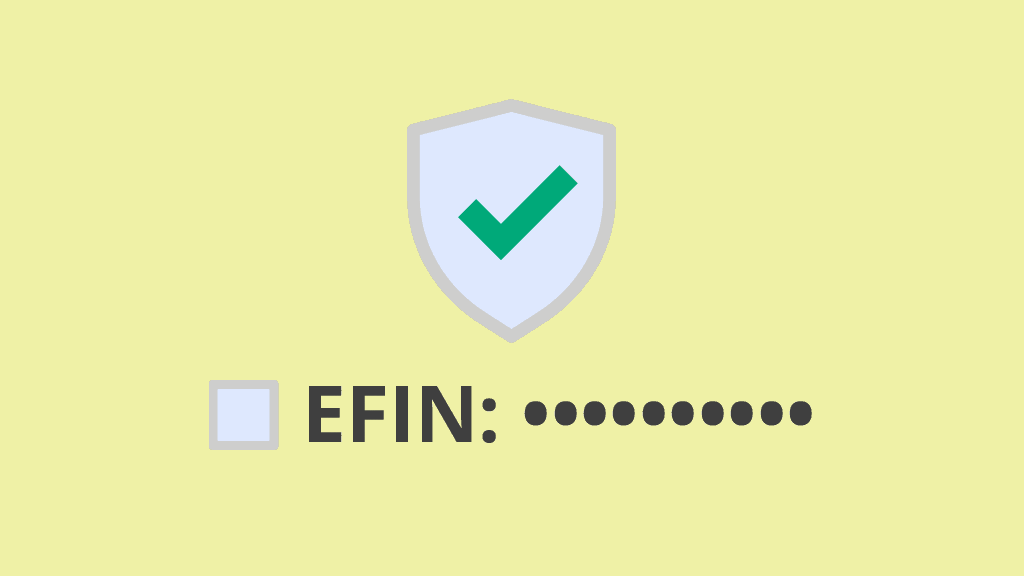 Tips for Protecting Your EFIN